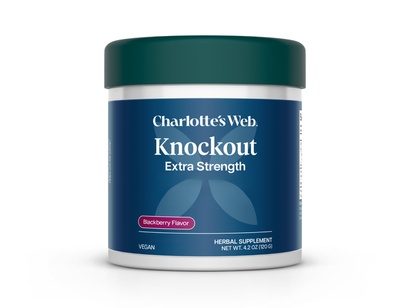 Charlotte's Web Knockout Extra Strength herbal supplement jar in blackberry flavor, featuring a dark blue label and a dark green lid on a white background.