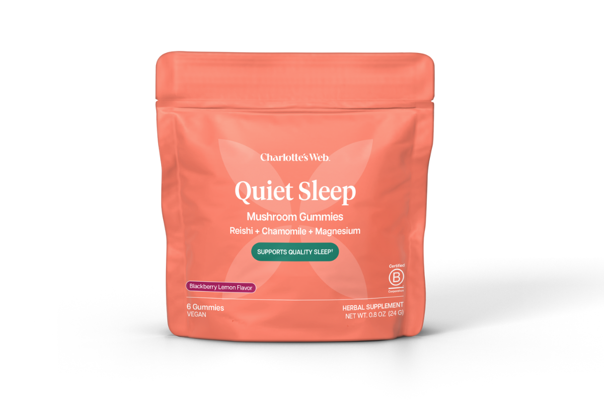 Pink package of Charlotte's Web Quiet Sleep gummies on a white background